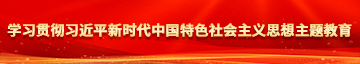 我要看肏屄的三级片学习贯彻习近平新时代中国特色社会主义思想主题教育